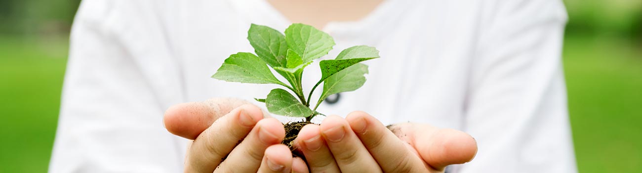 绿色部门_1300x350